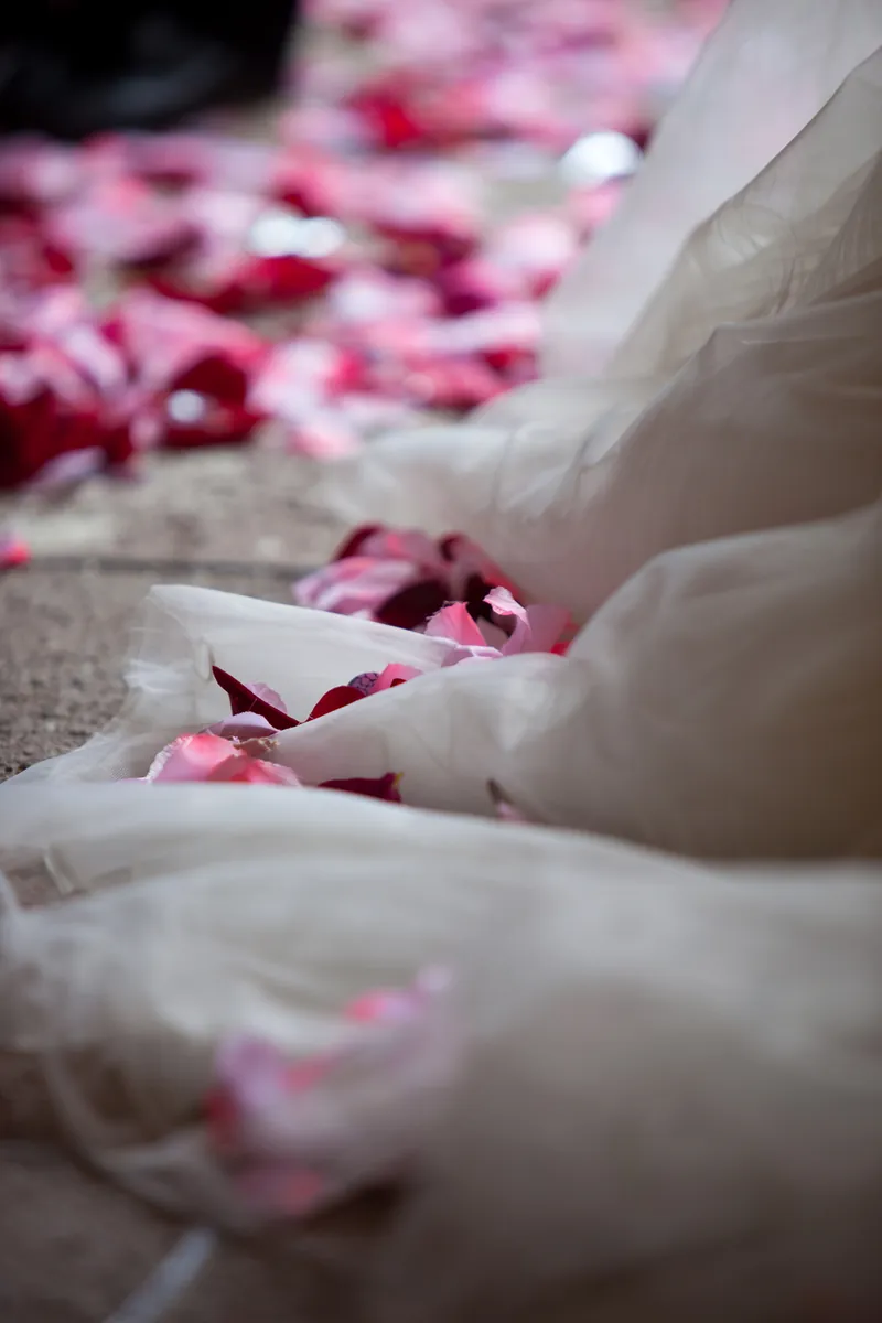 Pétalos de rosa sobre la cola de un vestido de novia